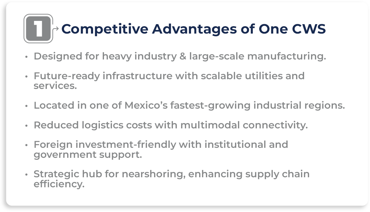 Competitive Advantages of One CWS