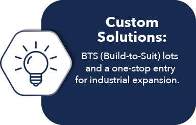 Custom Solutions